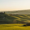 Green Hill  screen for extension Chrome web store in OffiDocs Chromium