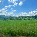 green hill meadow  screen for extension Chrome web store in OffiDocs Chromium