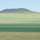 green meadows  screen for extension Chrome web store in OffiDocs Chromium