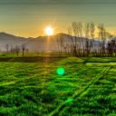 green meadows  screen for extension Chrome web store in OffiDocs Chromium