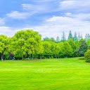 Green park and green lawn  screen for extension Chrome web store in OffiDocs Chromium