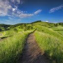 Green pastures  screen for extension Chrome web store in OffiDocs Chromium