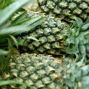 Green pineapple  screen for extension Chrome web store in OffiDocs Chromium