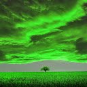Green rice fields  screen for extension Chrome web store in OffiDocs Chromium
