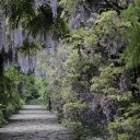 Green road  screen for extension Chrome web store in OffiDocs Chromium