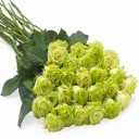 Skrin Green Roses untuk sambungan kedai web Chrome dalam OffiDocs Chromium