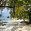 Green sea and island  screen for extension Chrome web store in OffiDocs Chromium