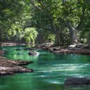 green stream and forest  screen for extension Chrome web store in OffiDocs Chromium