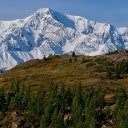 Green trees and mountains  screen for extension Chrome web store in OffiDocs Chromium