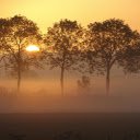 Green Trees during Golden Hour  screen for extension Chrome web store in OffiDocs Chromium
