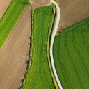 Green vegetable field  screen for extension Chrome web store in OffiDocs Chromium