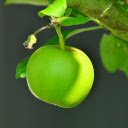 Green young apple  screen for extension Chrome web store in OffiDocs Chromium