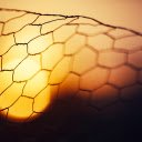 Grid and sunset  screen for extension Chrome web store in OffiDocs Chromium
