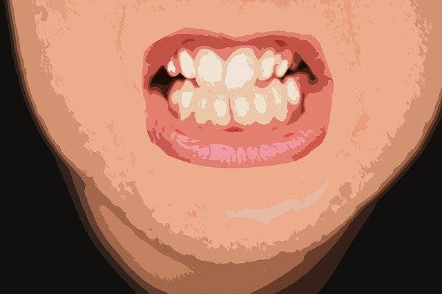 Descarga gratuita Grin Mouth Teeth - ilustración gratuita para ser editada con GIMP editor de imágenes en línea gratuito
