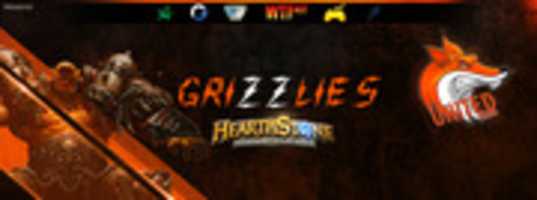 Free download Grizzlies Hs free photo or picture to be edited with GIMP online image editor