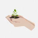 GROW Theme  screen for extension Chrome web store in OffiDocs Chromium