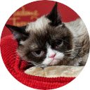 Grumpy Cat Wallpaper  screen for extension Chrome web store in OffiDocs Chromium