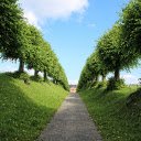 Guards of trees  screen for extension Chrome web store in OffiDocs Chromium