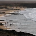 Guests swim at the beach  screen for extension Chrome web store in OffiDocs Chromium