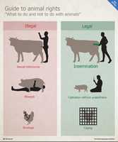 Free download Guide to animal rights - infographic free photo or picture to be edited with GIMP online image editor