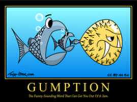 Free download Gumption free photo or picture to be edited with GIMP online image editor