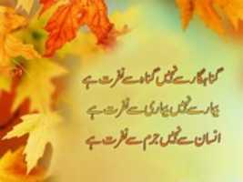 Free download Gunahgar Se Nahi Gunah Se Nafrat Hai free photo or picture to be edited with GIMP online image editor