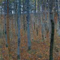 Unduh gratis Gustav Klimt, Beech Grove foto atau gambar gratis untuk diedit dengan editor gambar online GIMP