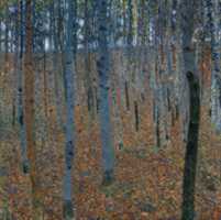 ดาวน์โหลด Gustav Klimt, Beech Grove ฟรีรูปภาพหรือรูปภาพที่จะแก้ไขด้วยโปรแกรมแก้ไขรูปภาพออนไลน์ GIMP