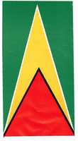 Free download Guyana Flag free photo or picture to be edited with GIMP online image editor