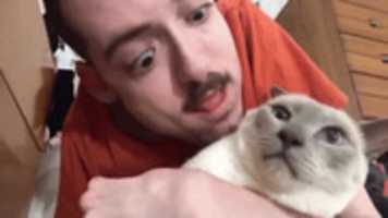 Free download guy lick his cat free photo or picture to be edited with GIMP online image editor