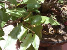 Free download guzane-2019-06-16 free photo or picture to be edited with GIMP online image editor