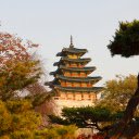Gyeongbokgung Palace Amidst Verdant Foliage  screen for extension Chrome web store in OffiDocs Chromium