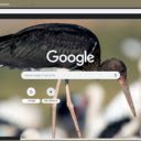Hac Den  screen for extension Chrome web store in OffiDocs Chromium