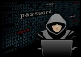 Free download hacker-charityowl free photo or picture to be edited with GIMP online image editor