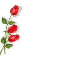 Free download hadisler-1 free photo or picture to be edited with GIMP online image editor