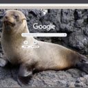 Hai Cau  screen for extension Chrome web store in OffiDocs Chromium