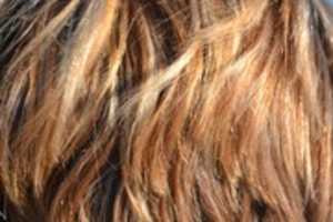 Free download hair-418265_960_720 free photo or picture to be edited with GIMP online image editor
