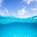 OffiDocs Chromium 内の拡張 Chrome Web ストアの Half Underwater Wallpaper テーマ画面