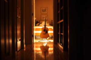 Free download Haloed Guitar free photo or picture to be edited with GIMP online image editor