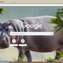 Ha Ma  screen for extension Chrome web store in OffiDocs Chromium