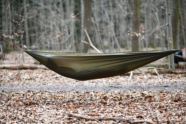 Free download hammock holiday rest laziness free picture to be edited with GIMP free online image editor