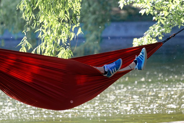 Free download hammock shoes lake shore trees free picture to be edited with GIMP free online image editor