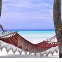 Hammock tied to coconut tree  screen for extension Chrome web store in OffiDocs Chromium