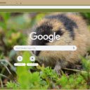 Hamster Hoang  screen for extension Chrome web store in OffiDocs Chromium