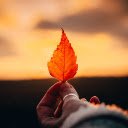 Hand and leaf  screen for extension Chrome web store in OffiDocs Chromium