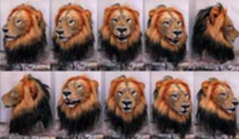 Free download Hand Puppet Lion For Metro Goldwyn Mayer free photo or picture to be edited with GIMP online image editor