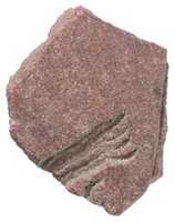 Free download Hand raised in worship adjacent to Aten ray (?) free photo or picture to be edited with GIMP online image editor