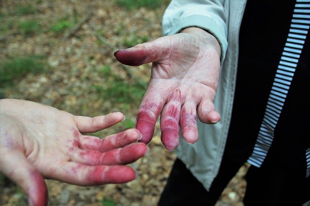 Free download hands fingers dyed juice colored free picture to be edited with GIMP free online image editor