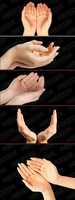 Free download Hands_psd.jpg free photo or picture to be edited with GIMP online image editor