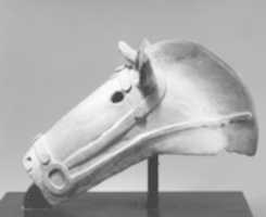 Free download Haniwa Horses Head free photo or picture to be edited with GIMP online image editor